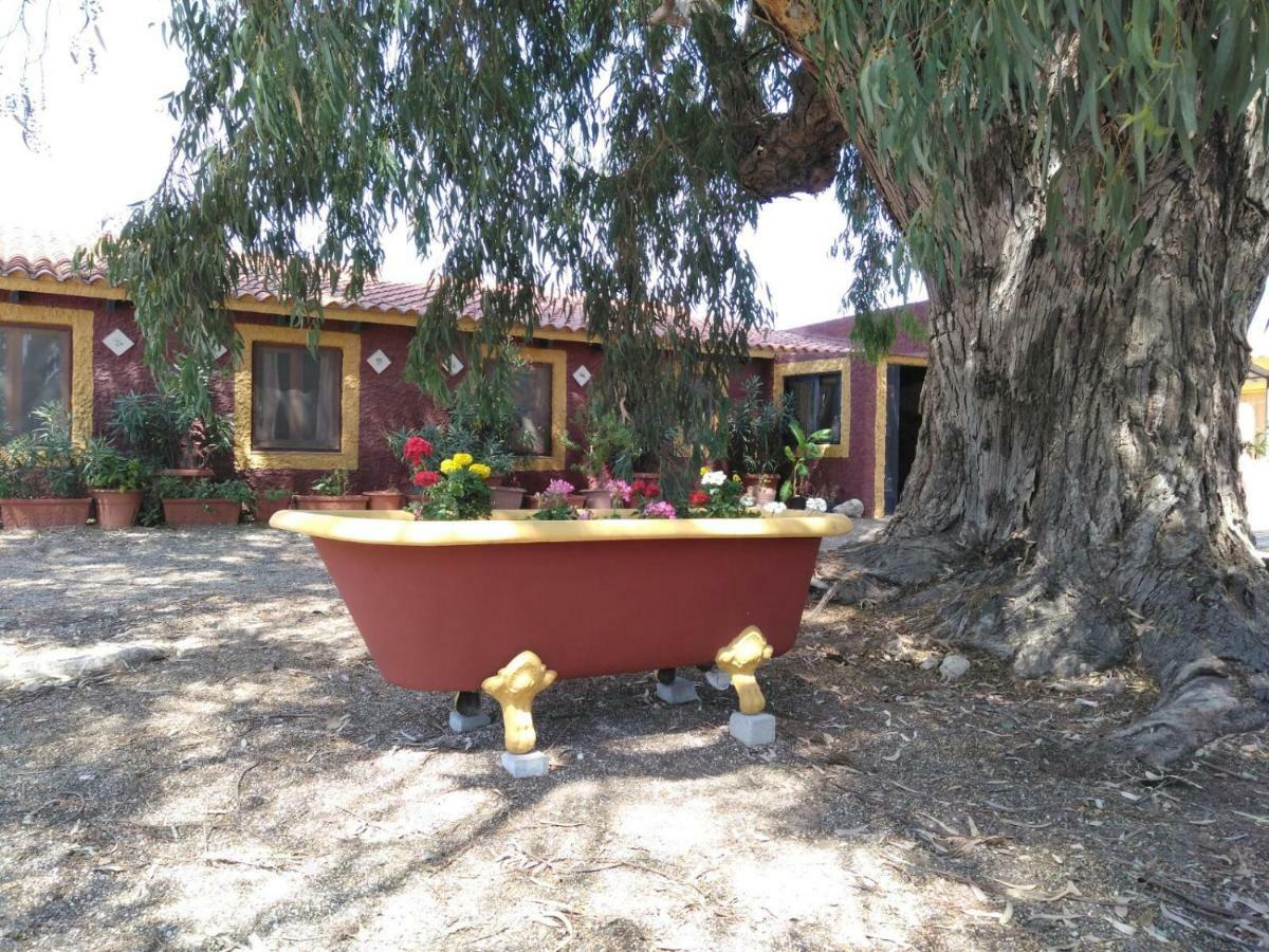 Casa Del Procurador Guest House Las Virtudes Exterior photo
